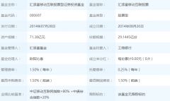 2025年04月06日汇添富移动互联股票000697基金净值查