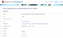 信达地产30亿融资背后:2024年由盈转亏今年有1