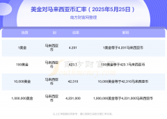 货币如何兑换:2025年5月25日美金兑换马来西亚币