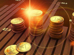 华西证券: 华西证券股份有限公司2025年面向专业