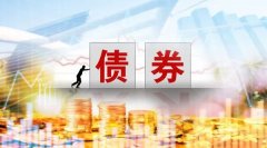 新兴市场债券发行规模今年以来增长19%