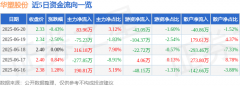 股票行情快报:华塑股份(600935)6月20日主力资