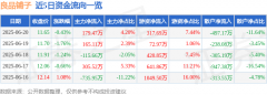 股票行情快报:良品铺子(603719)6月20日主力资