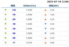 货币市场日报：7月10日