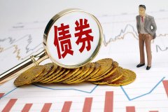 国寿安保泰宁利率债债券：国寿安保泰宁利率债